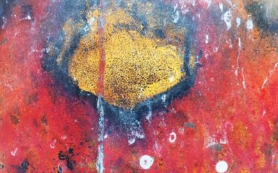 GALERIE | „SaSa-ART“ | 07.11.2019 – 09.12.2019