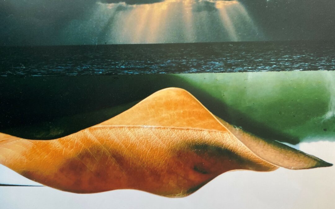 GALERIE | 24.11.2022 – 28.02.2023 | WINTERWERKE | Malerei, Fotografie & Skulpturen